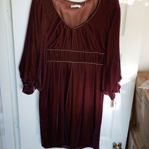 Badgely Mischka Velvet Dress